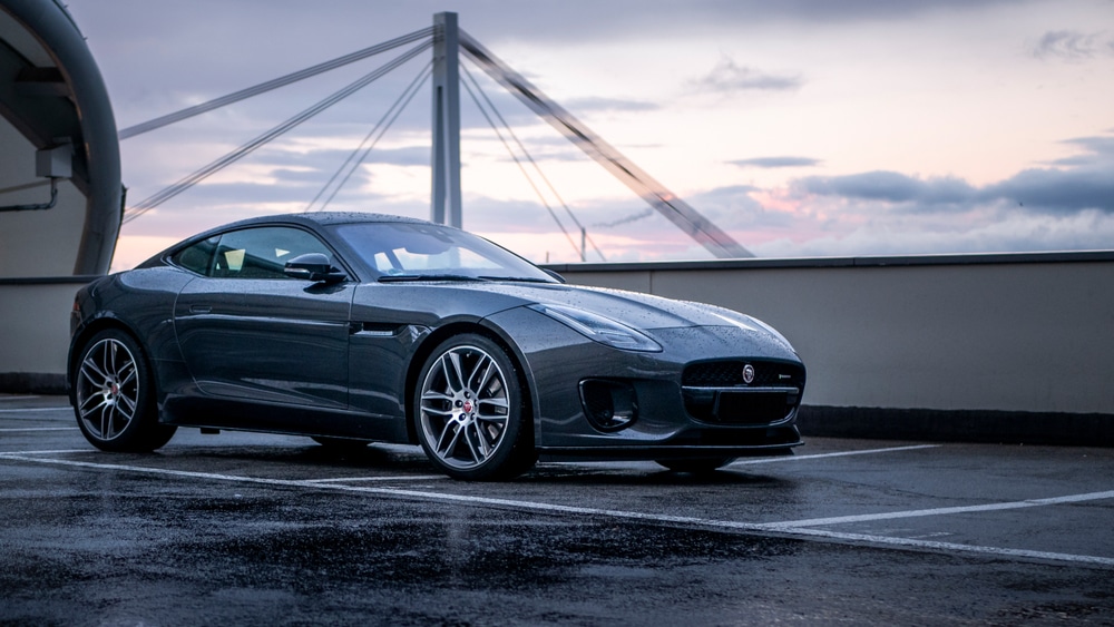 jaguar specialist jaguar specialist